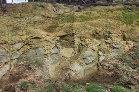 Forensic Geotechnical Investigation